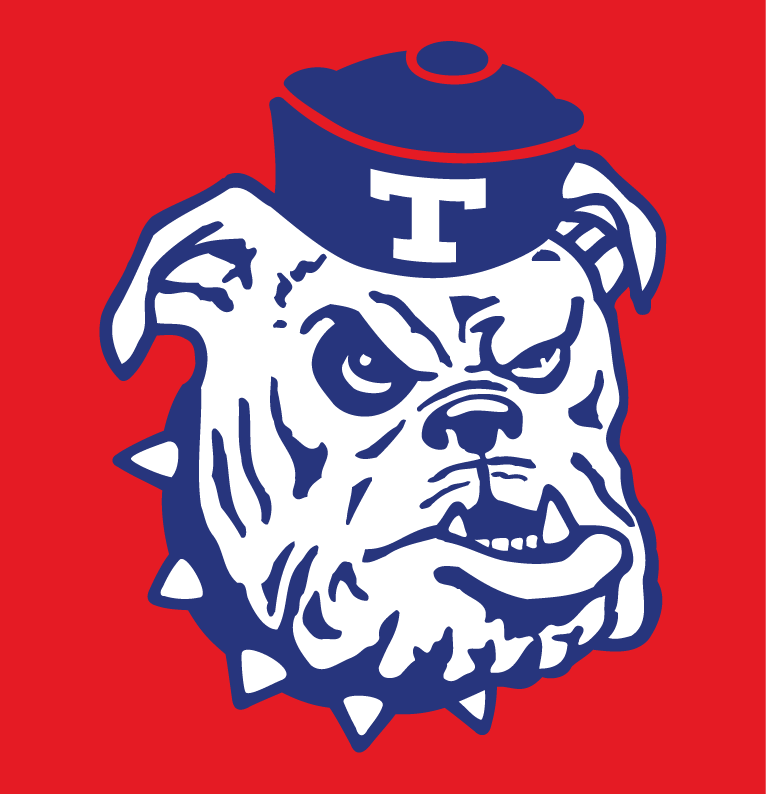 Louisiana Tech Bulldogs 1966-1978 Alternate Logo diy iron on heat transfer